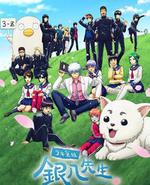 3年Z班银八老师